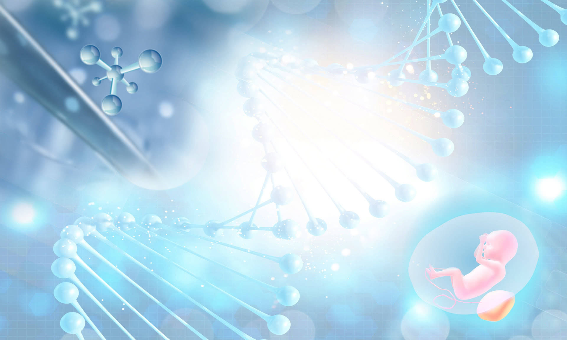 组织培养技术促进试管苗快速繁殖研究