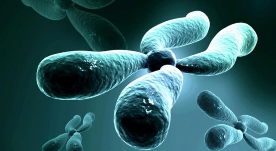 结扎术与不孕症